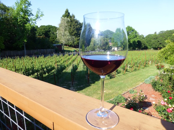 wine in vineyard